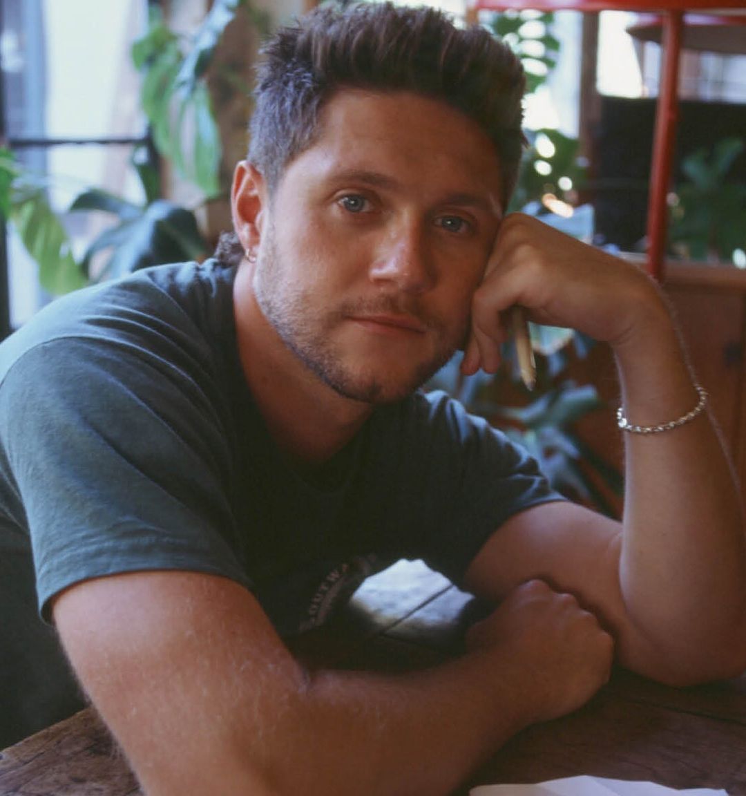 Niall Horan: Dinner Party Live On Tour event cover