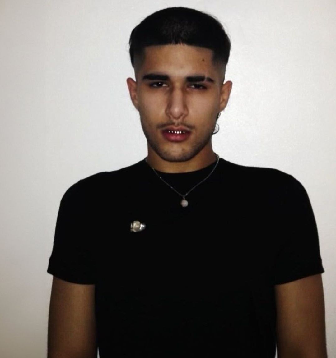 fakemink - a Terrible Beauty . - The Tour event cover