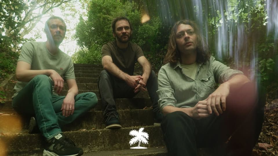 Mammal Hands | Hamburg event cover
